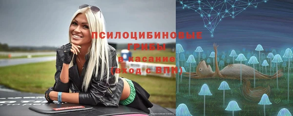 стафф Алексин