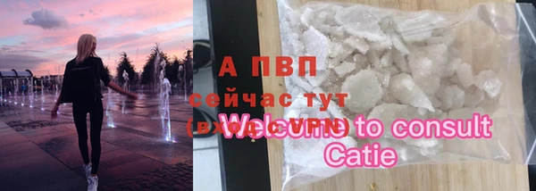 шишки Алзамай