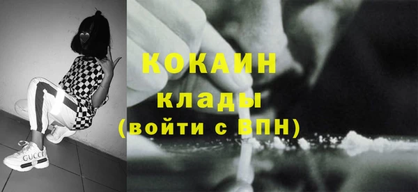 стафф Алексин