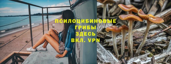 синтетический гашиш Алексеевка