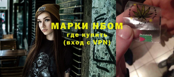 стафф Алексин