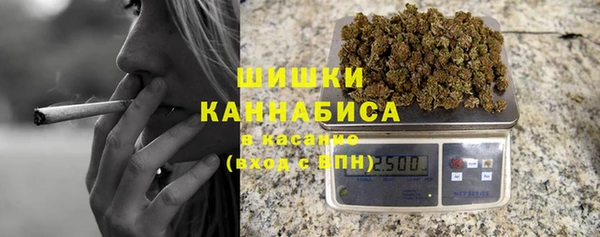 шишки Алзамай