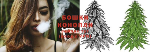 шишки Алзамай