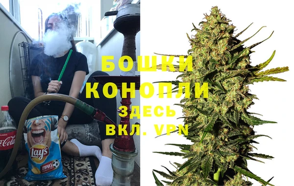 шишки Алзамай
