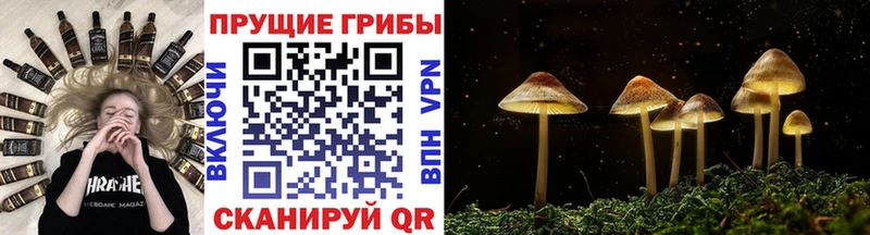 Псилоцибиновые грибы Magic Shrooms  цена наркотик  Пошехонье 